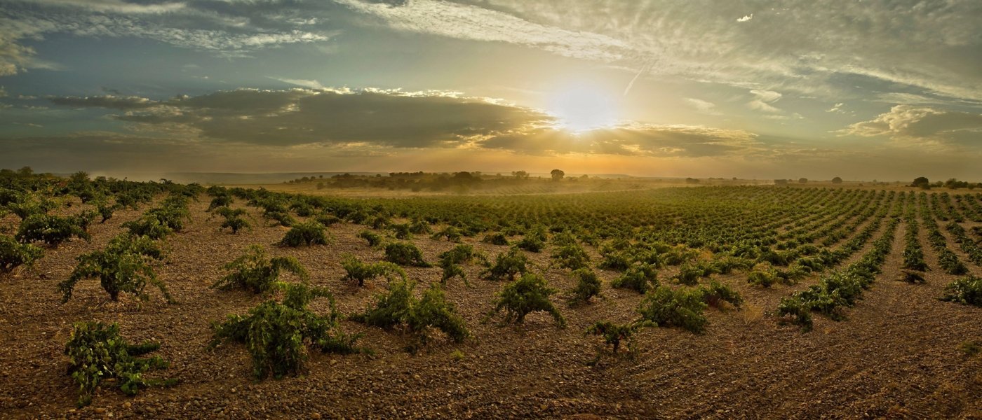 Bodega Numanthia